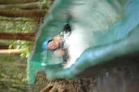  2007-12-10 15.06.03.JPG 